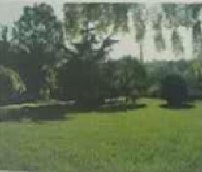 保水劑在城市綠化的應(yīng)用